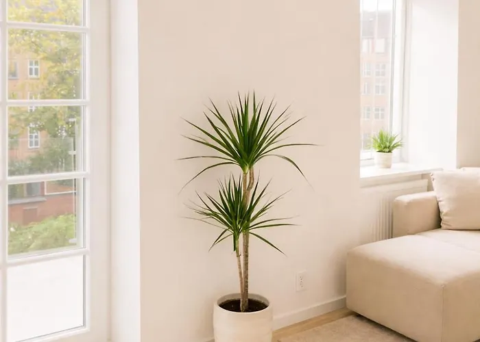 C - Light 2 - Sunny Balcony And Free Parking * Odense